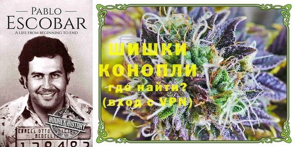 сатива Касимов