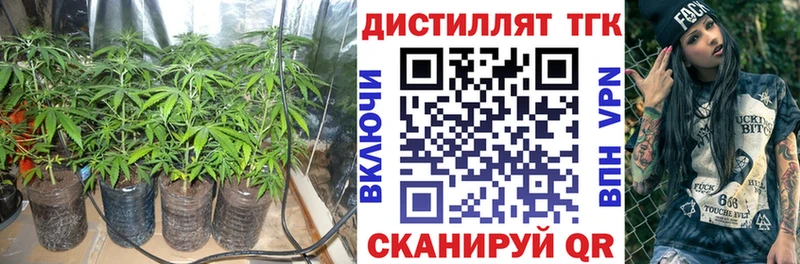 Купить где  Мамадыш  Дистиллят ТГК жижа 