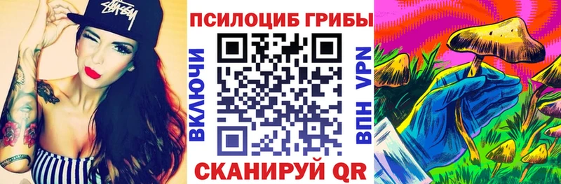 Купить где  Мамадыш  Псилоцибиновые грибы Cubensis 